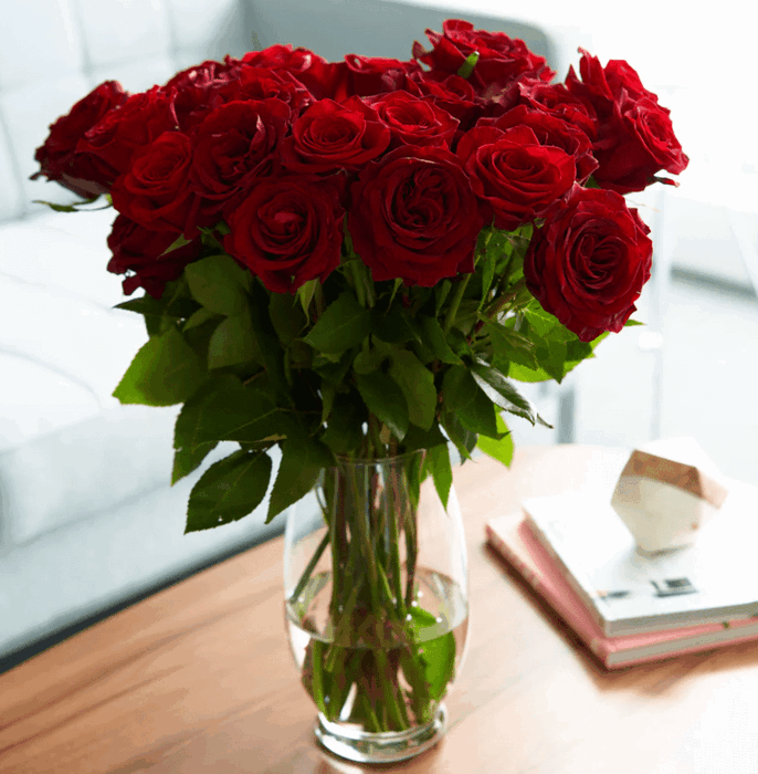 Rose Farmer Exclusive - 75% Off Long Stem Roses – Topsave